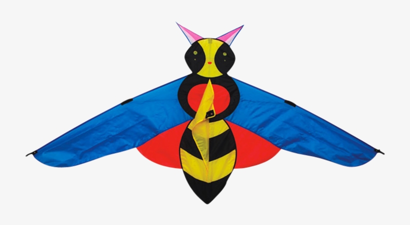 Net-winged Insects, transparent png download