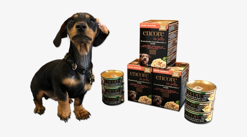'a Doggie Dinner With Real Bite' - Dachshund, transparent png download
