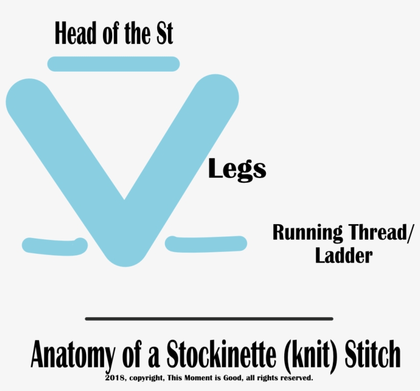 Always Occurs In Knitting When Doing Stockinette/purl - Magnifying Glass, transparent png download