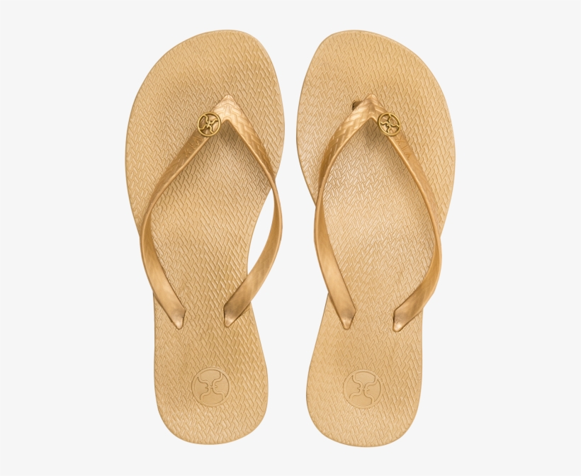 2019 Vix Paula Hermanny All Rights Reserved - Flip-flops, transparent png download