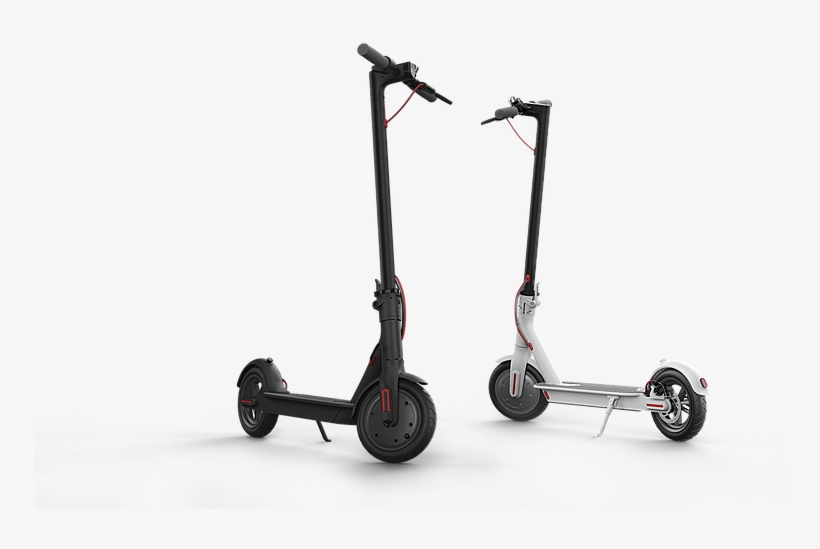 Electric Scooter - Bird Scooter White Background, transparent png download
