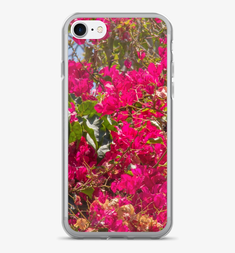 Lankershim Village Bougainvillea Iphone 7/7 Plus Case - Mobile Phone Case, transparent png download