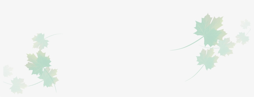 Maple-background - Illustration, transparent png download