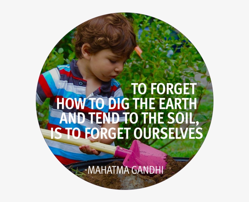 Garden Maintenance - Educational Maintenance - Presentations - Label, transparent png download