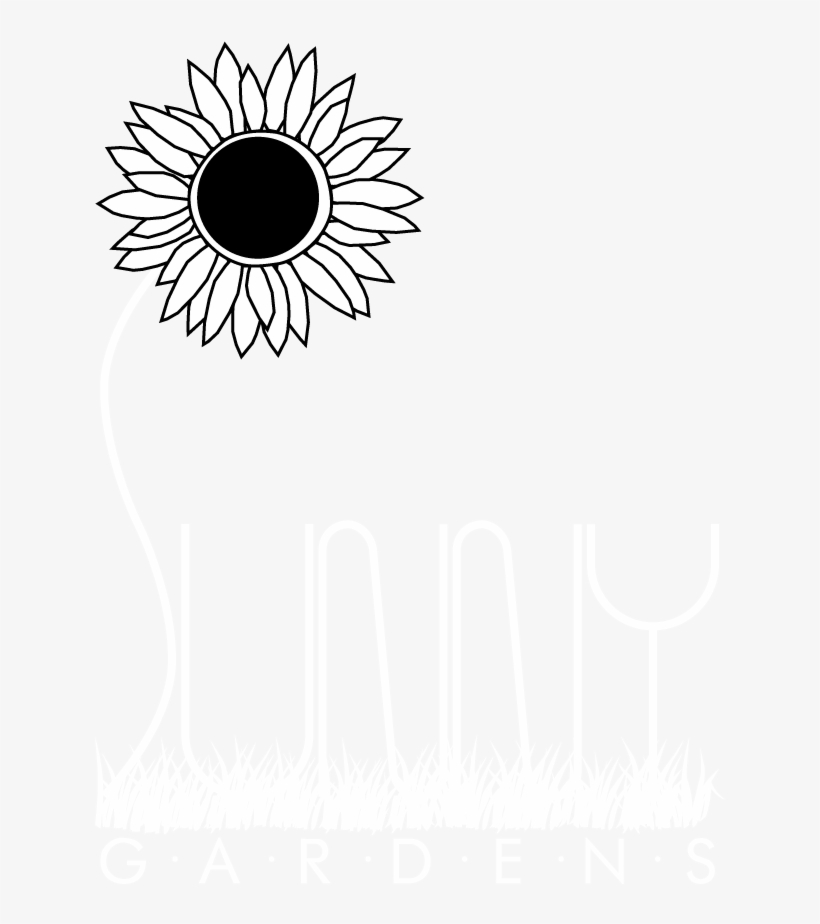 June Clipart Flower Bed - Sunflower, transparent png download