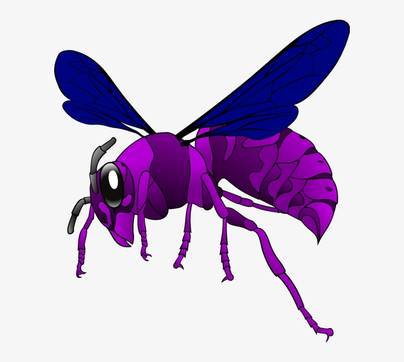 Hornet Clipart Transparent - Purple Hornet Clipart, transparent png download