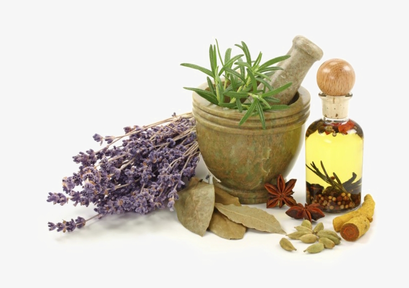 Naturopathy Png Transparent Image - Homeopathy Natural, transparent png download