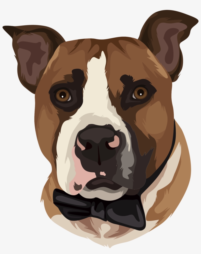 Boxer, transparent png download