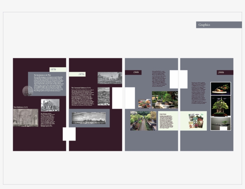 History Of The Bonsai Tree - Brochure, transparent png download