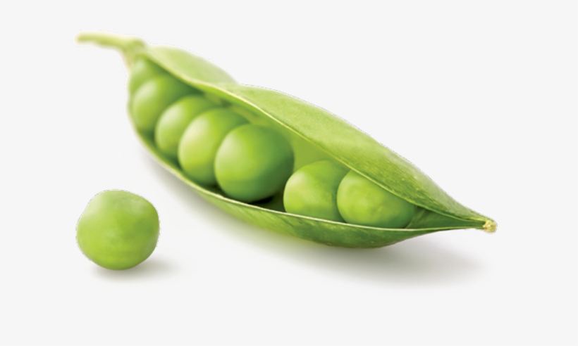 Green Peas, Carrots And Sweet Corn - Pea, transparent png download