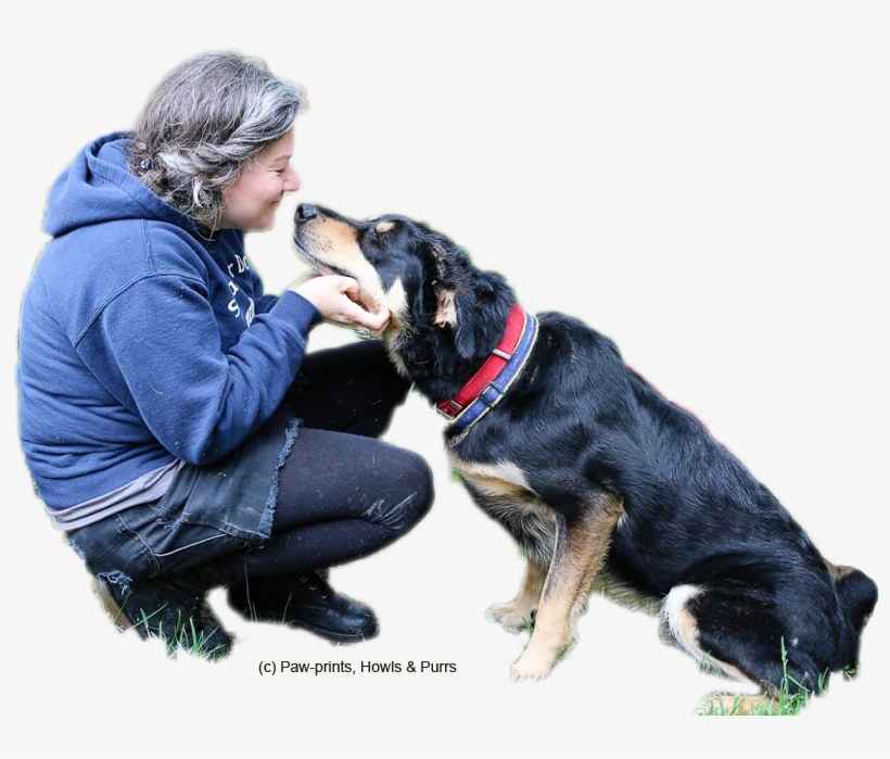 Straw For Dog Assists Caretakers And Concerned Citizens - Cut Out Dogs Png, transparent png download