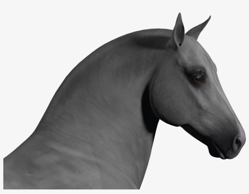 Banner Royalty Free Stock Ear Transparent Horse - Horse Ears Png, transparent png download