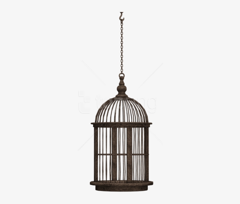 Free Png Download Bird Cage Png Images Background Png - Bird Cage Silhouette Png, transparent png download
