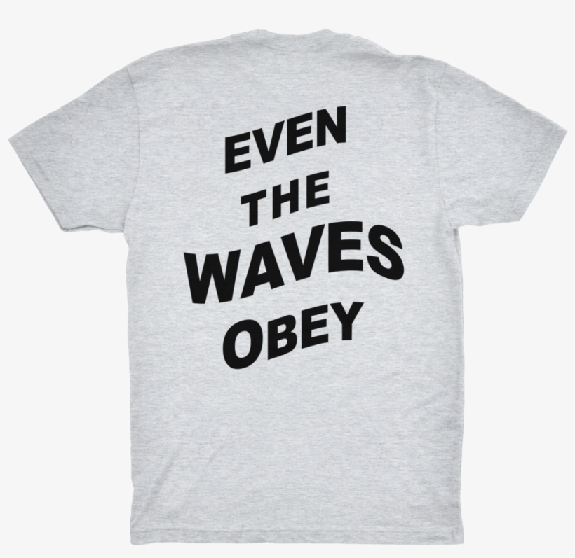 Orca Shirt, transparent png download