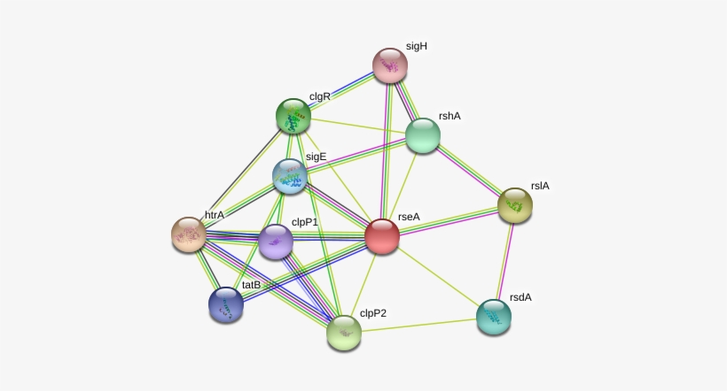 Rsea Protein - Circle, transparent png download