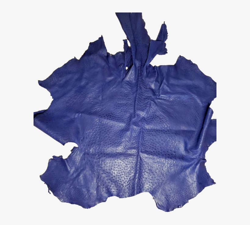 Load Image Into Gallery Viewer, Ostrich Leather - Hoodie, transparent png download