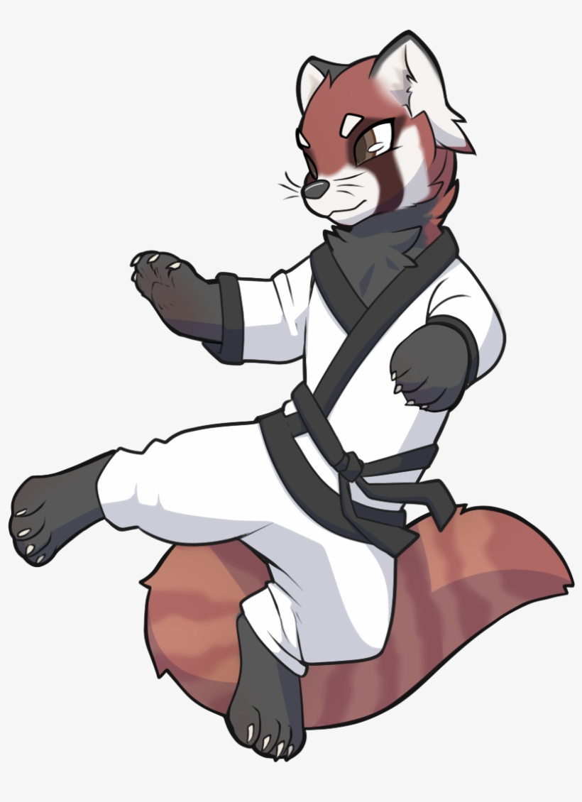 Kung Fu Panda - Kung Fu Red Panda, transparent png download