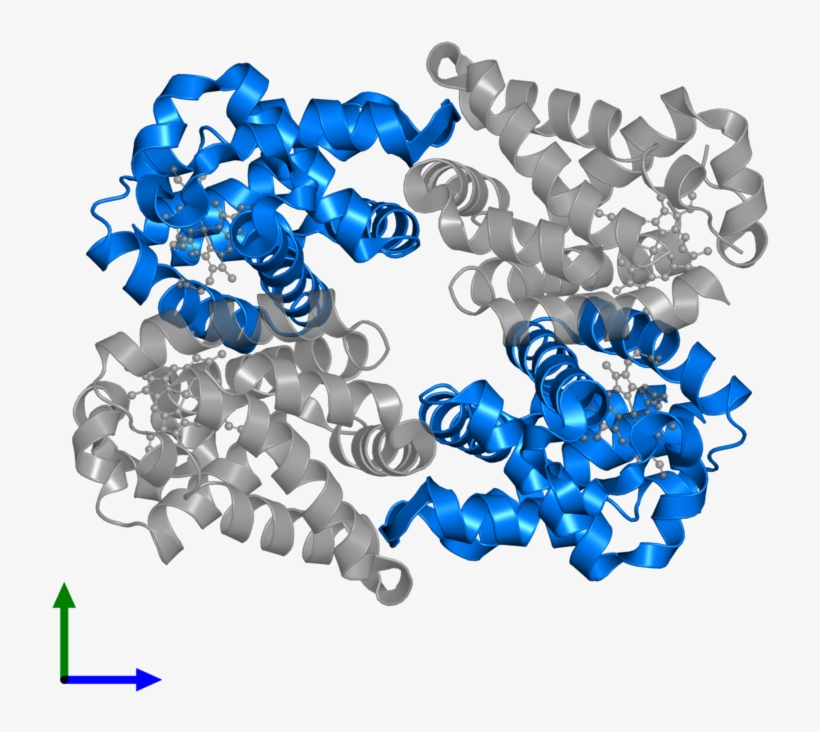 <div Class='caption-body'>pdb Entry 4hrt Contains 2 - Chain, transparent png download