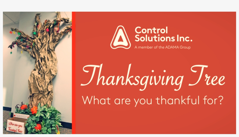 Control Solutions - Houseplant, transparent png download