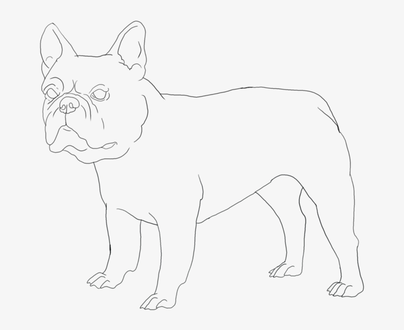French Bulldog Photo - Bull And Terrier, transparent png download