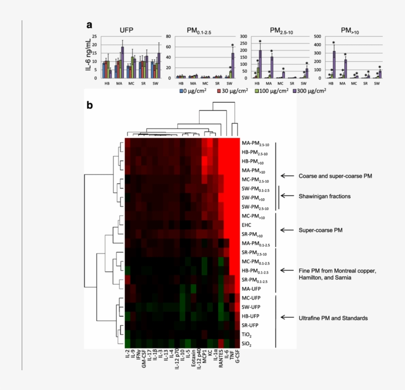 Inflammatory Response To Particles Collected At Industrial - Diagram, transparent png download