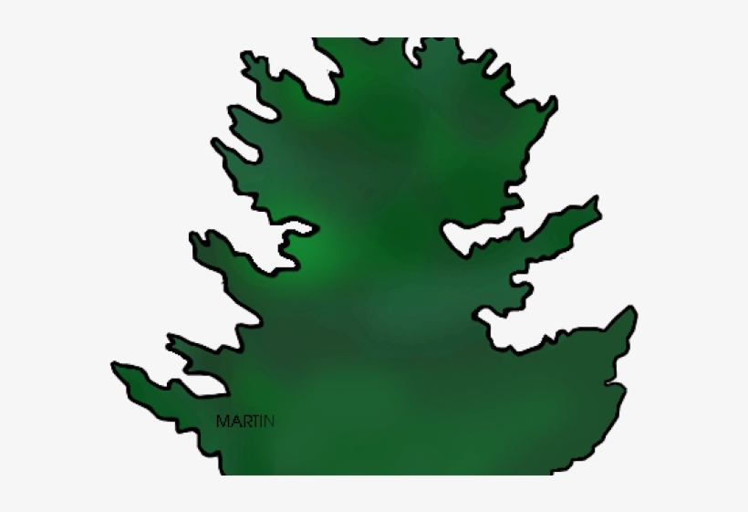 Fir Tree Clipart California Redwood - Clip Art, transparent png download