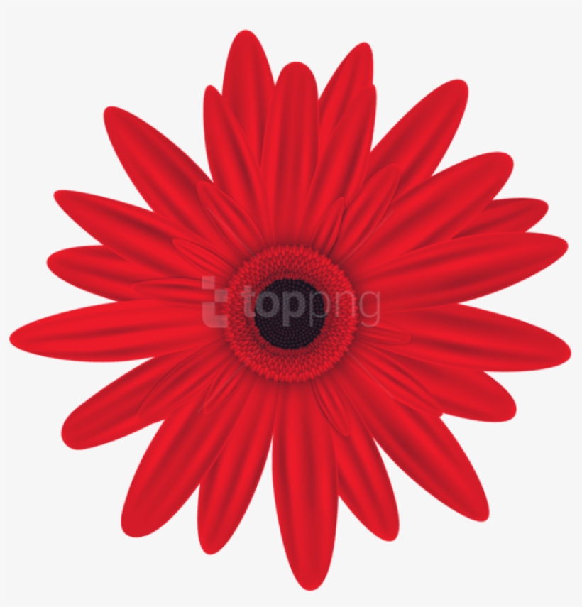 Free Png Red Flower Png Images Transparent - Flowers Clip Art Free Download, transparent png download