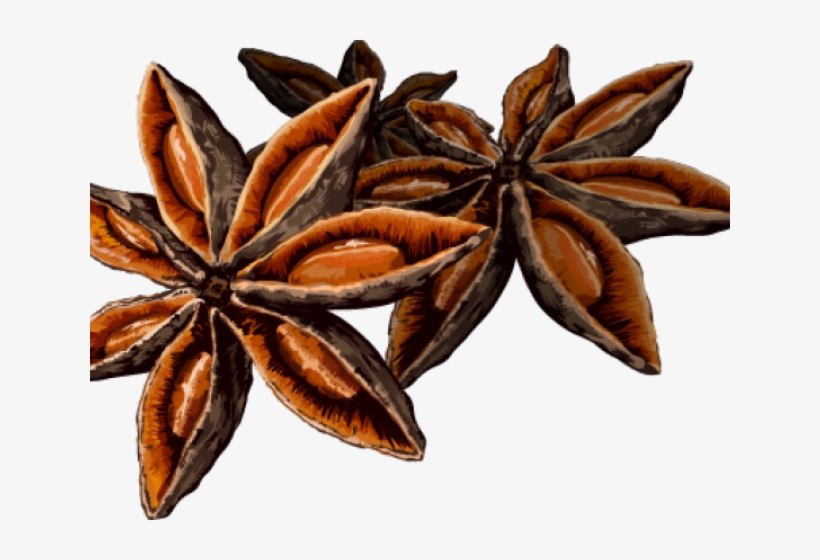 Essens 028, transparent png download