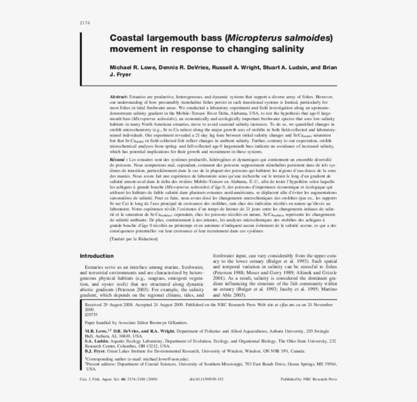 Pdf - Borealis - Partitur - J. Beuys. Gallery Jan Wagner,, transparent png download