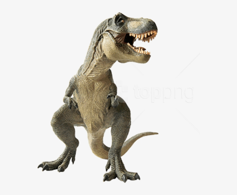 Free Png Download Dinosaur Standing Left Png Images - اسباب بازی دایناسور تیرکس, transparent png download