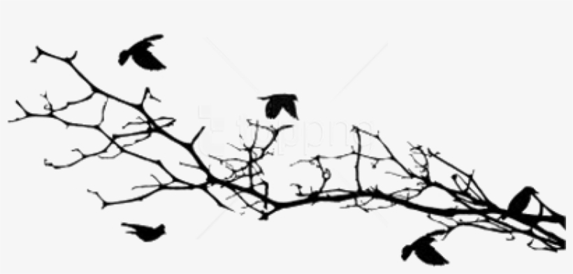 Free Png Download Bird Silhouettes On A Branch Png - Silhouette, transparent png download