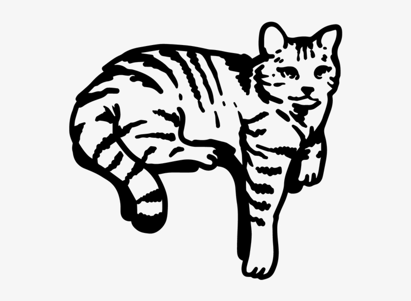 Wandtattoo Liebe Katze Kätzchen Pfoten Tiere Tür Wand, transparent png download