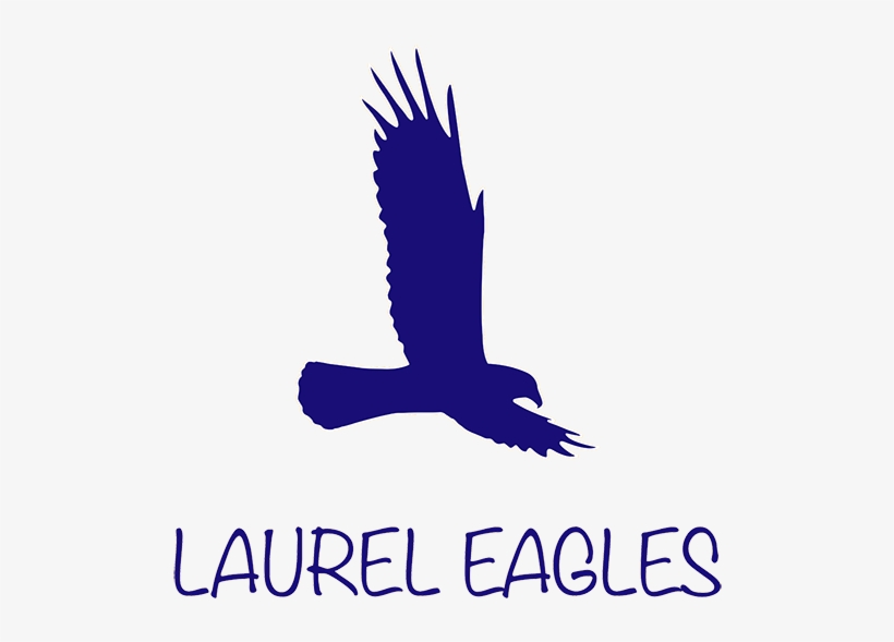 Auction - Laurelpta - Org - Hawk, transparent png download