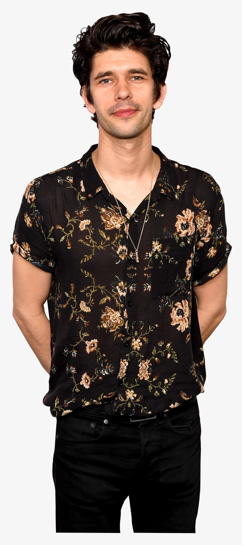 Ben Whishaw On A Very English Scandal, Singing In Mary - Man, transparent png download