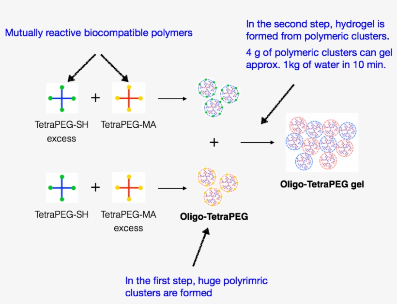 Developed The Hydrogel Oligo-tetrapeg With A Low Polymer - Diagram, transparent png download