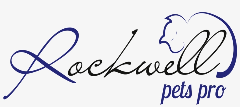 How To Tell Dog Ear Infection - Calligraphy, transparent png download