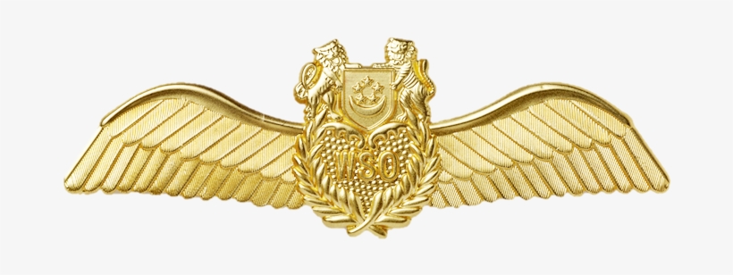 Rsaf - Golden Eagle, transparent png download