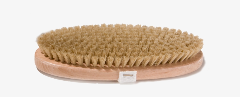 Description And Applications - Sandwich Cookies, transparent png download