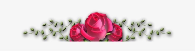 Flowers Png - Garden Roses, transparent png download