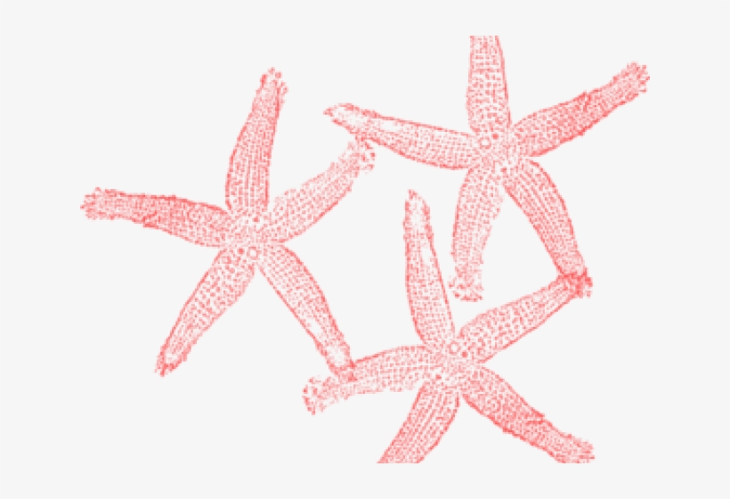 Starfish Clipart Transparent Background, transparent png download