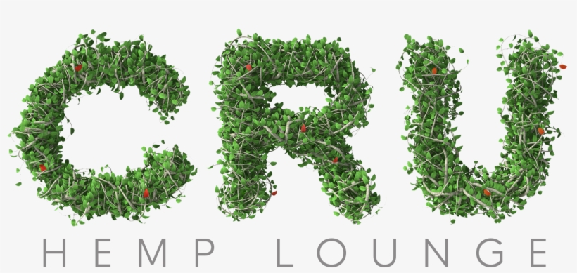 $200,000 - Holly, transparent png download