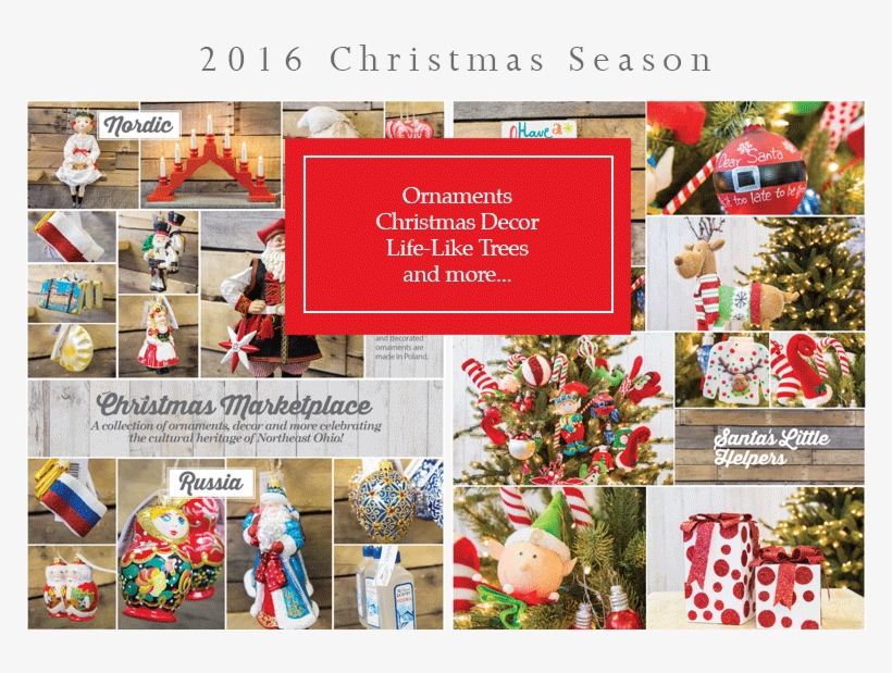 As You Walk Into Our Stores, You Will Be Transported - Cut Flowers, transparent png download