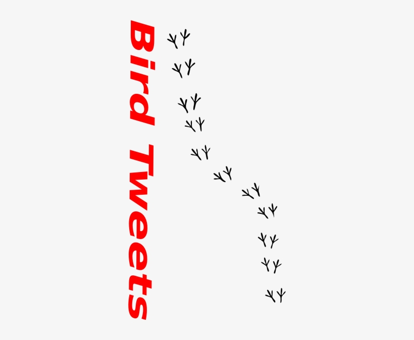 Bird Footprints Svg Clip Arts 312 X 594 Px, transparent png download
