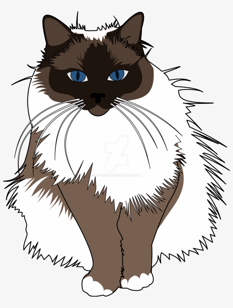 Freeuse Birman By Kyouzins On Deviantart - Illustration Ragdoll Cat Vector, transparent png download