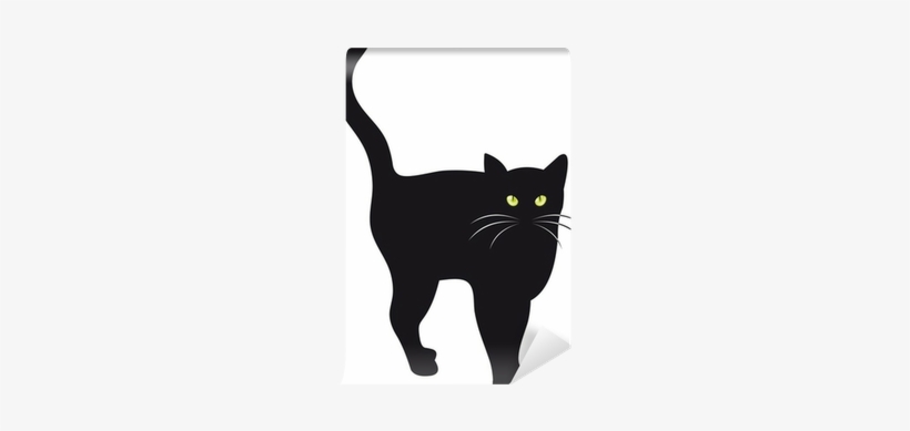 Cat, transparent png download