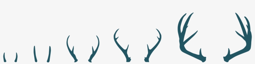 We're A Group Of Creatives, Strategists And Business, transparent png download