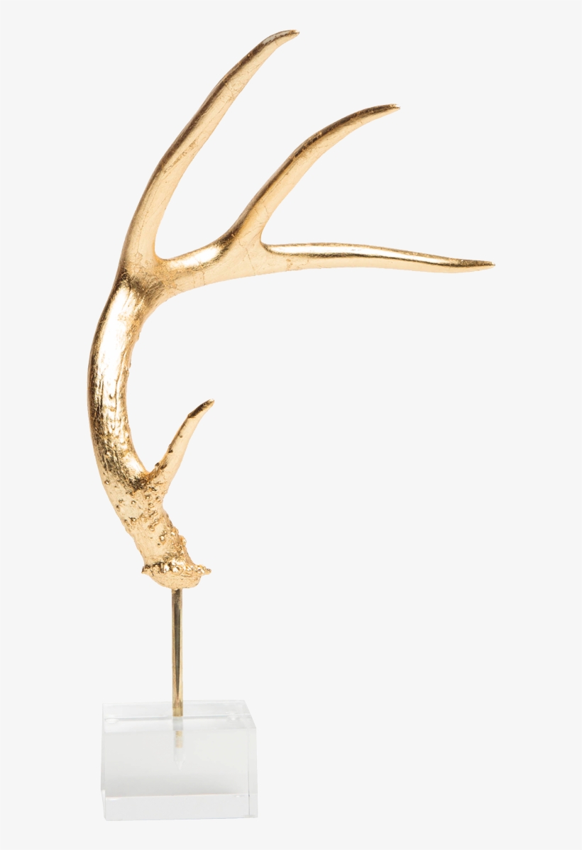 Acrylic Antler Mount - Deer, transparent png download