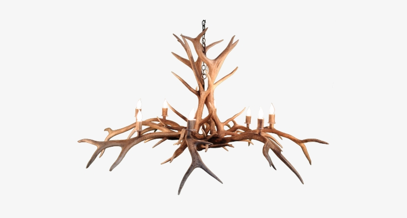 8 Light Inverted Elk Spider Antler Chandelier - Elk, transparent png download
