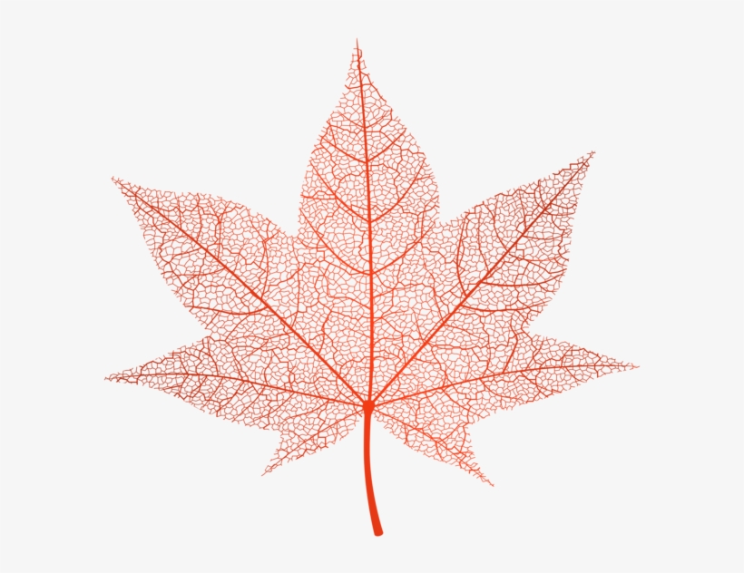 Transparent Red Autumn Leaf Png Clip Art Image - Pink Autumn Leaf Png, transparent png download
