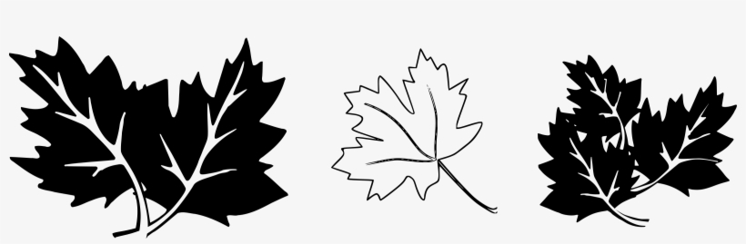Clipart Oak Leaves Black White - Small Black And White Leaves, transparent png download